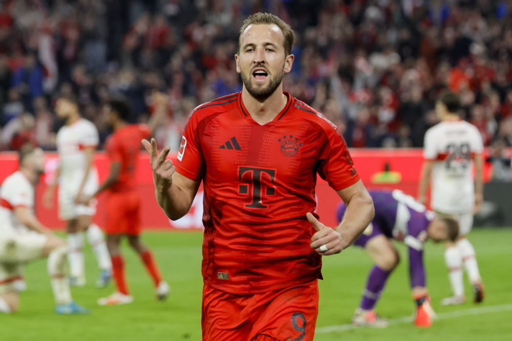 还增进了彼 还增进了彼