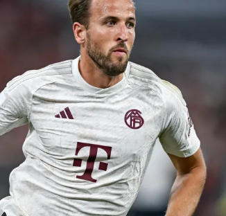 实力与状态 实力与状态